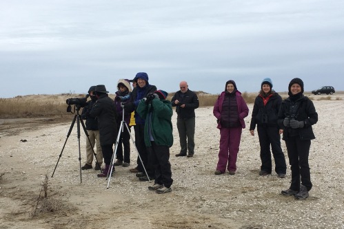 Lots of smiles after great look at the Iceland Gull at Chincoteague!